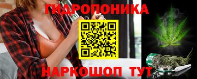 стаф Анжеро-Судженск