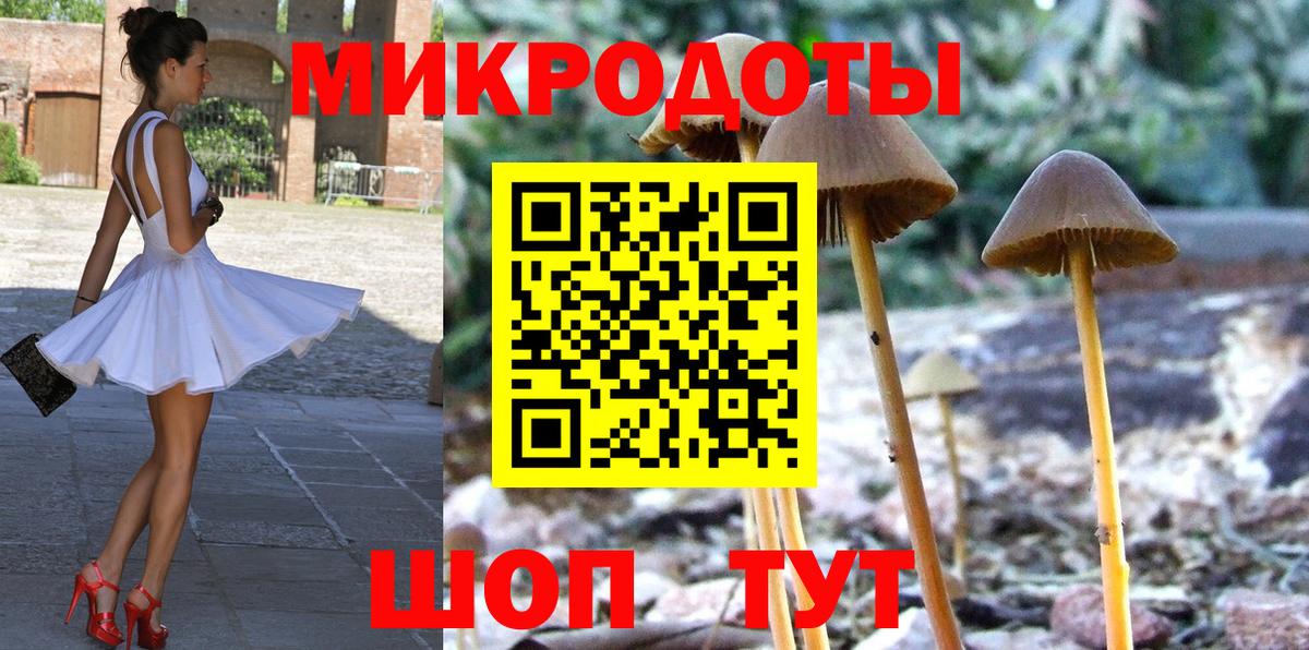 Псилоцибиновые грибы Psilocybine cubensis  Вход с VPN  Обь 