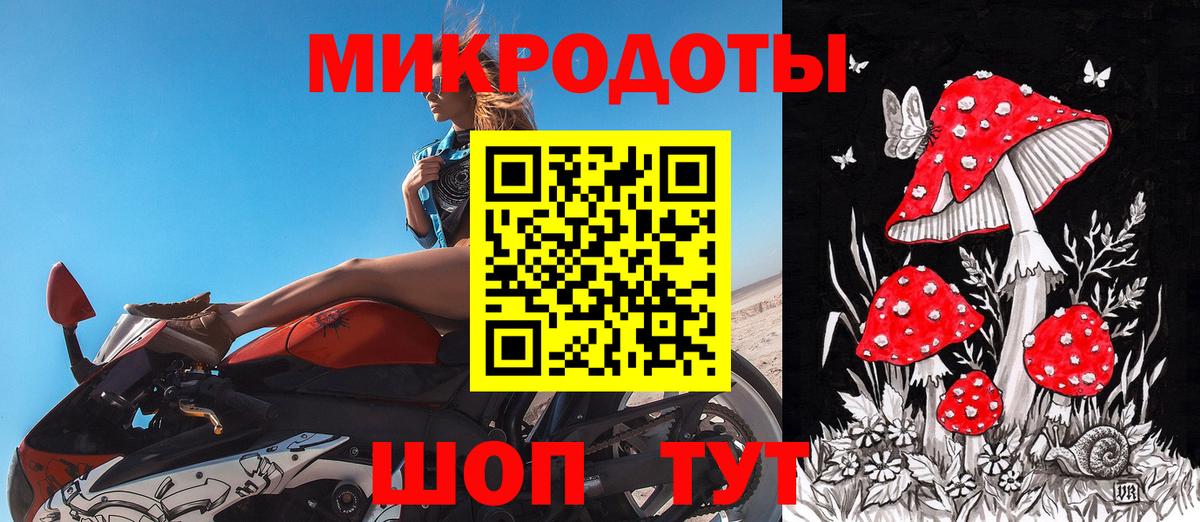 Галлюциногенные грибы Psilocybe Обь